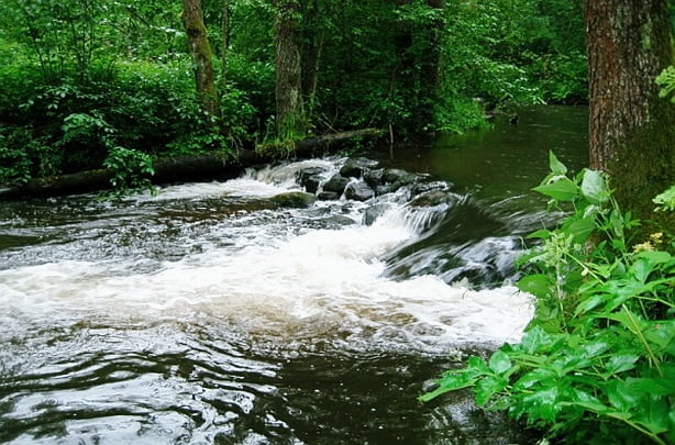 Baidarių nuoma grūdos upe